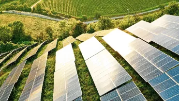 Rows of solar panels on a sunny hillside, surrounded by greenery.